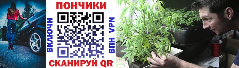 Сколько стоит Можга кракен зеркало LSD-25 СК Меф мяу мяу АМФ