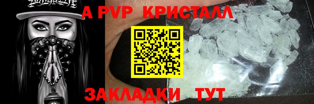 Альфа ПВП СК Можга