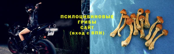 ешки Алексеевка