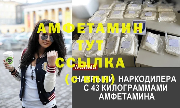 МДПВ Алзамай