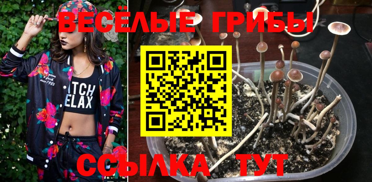 Галлюциногенные грибы мицелий Можга
