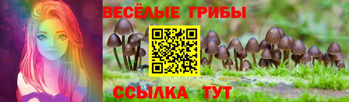 купить   Псилоцибиновые грибы мицелий  Вход с VPN  Можга 